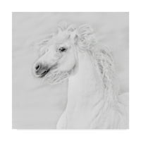Védjegy Képzőművészet 'Fekete -fehér lovak III' vászon művészete: Phburchett