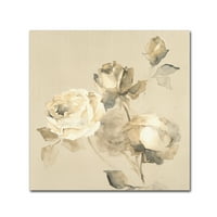 Védjegy Képzőművészet 'Rose Blossoms Crop' vászon művészet a Wild Apple portfólióból