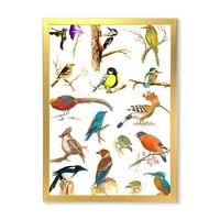 Designart 'Vital Colored Birds Plancard' hagyományos keretes művészeti nyomtatás