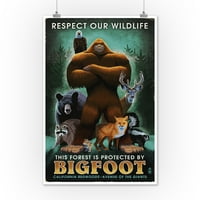 Kaliforniai vörösfenyők, az óriások sugárútja, tiszteljük Vadvilágunkat, Bigfoot