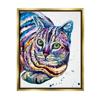 Stupell szórakoztató csíkos szivárványos macska portré állatok és rovarok festés arany úszó keretes művészeti nyomtatási