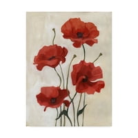 A „Poppy Bouquet III” Vászon Vászon művészete, Emma Scarvey művészete