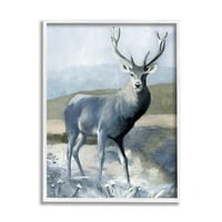 Erdei vadon élő állatok szarvas portré állatok és rovarok grafikus fehér keretes művészet nyomtatott fal művészet